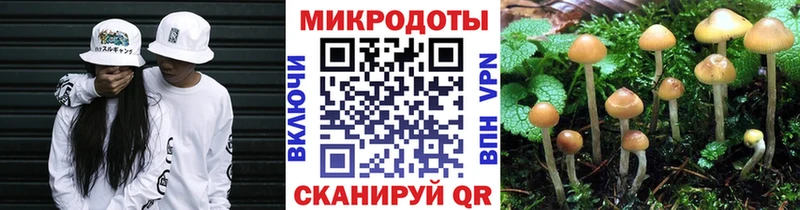 Купить где  Балтийск  Галлюциногенные грибы мухоморы 